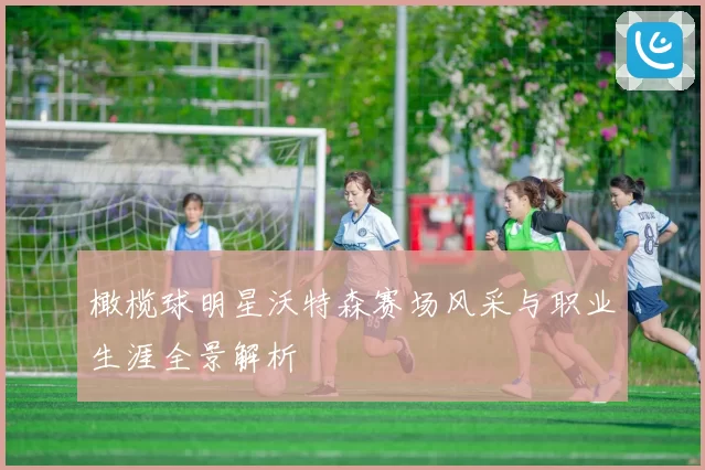 橄榄球明星沃特森赛场风采与职业生涯全景解析