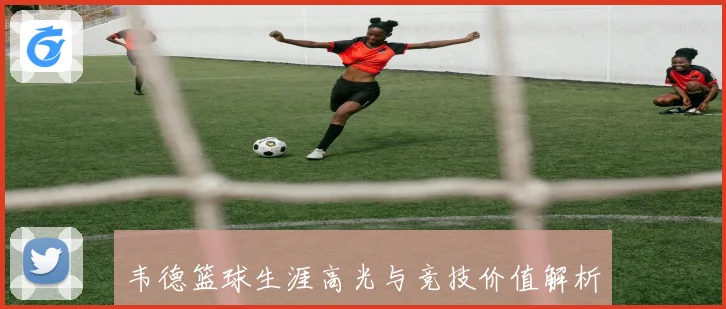 韦德篮球生涯高光与竞技价值解析