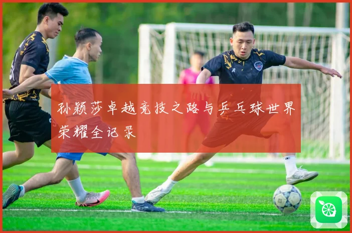 孙颖莎卓越竞技之路与乒乓球世界荣耀全记录