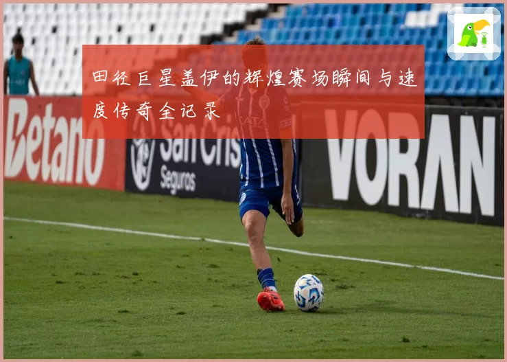 田径巨星盖伊的辉煌赛场瞬间与速度传奇全记录