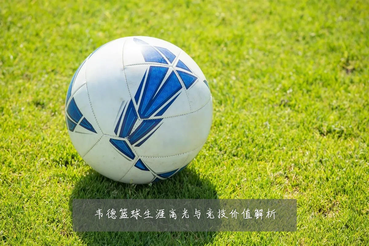 韦德篮球生涯高光与竞技价值解析